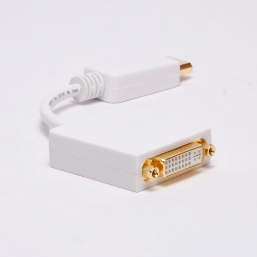 DisplayPort Male to DVI Female Adapter