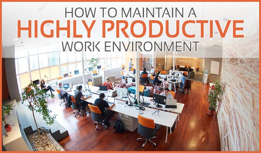 How to Maintain a Highly Productive Work Environment