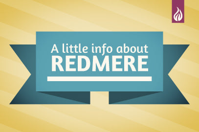 Infographic: What is RedMere Technology?