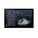 EcoFlow PowerInsight 2 Home Energy Manager