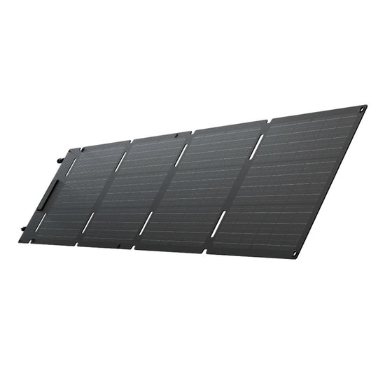 EcoFlow 60W Solar Panel