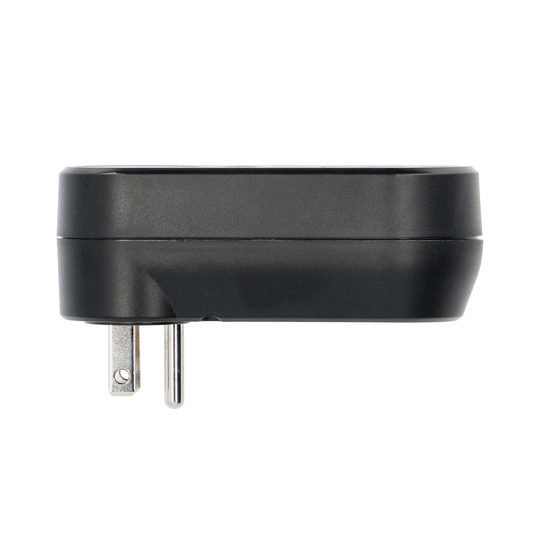 Big Dog Single Outlet Smart Wall Tap w/ Self-Healing, Wi-Fi Connection