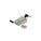 Simply45 ProSeries Cat6 Shielded External Ground Pass-Through RJ45 Modular Plugs with Bar45™ & Cap45® - 25 Pack