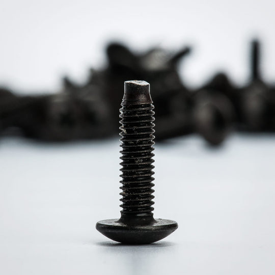 Kendall Howard 10-32 Rack Screws - 100 Pack