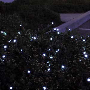 Solar LED String Lights (100 count)