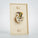 RJ11 Phone Wall Plate