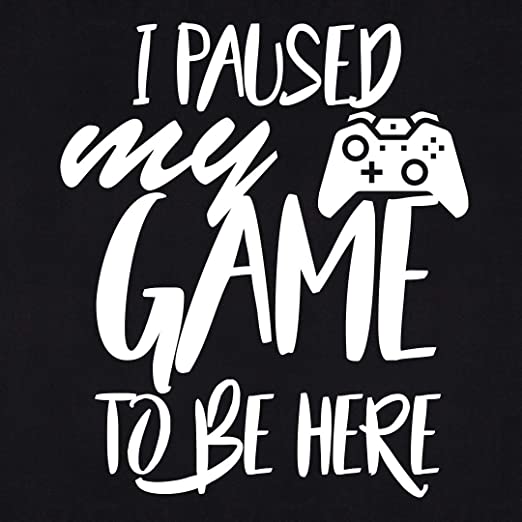 I Paused My Game to Be Here Graphic Novelty Adult Humor Sarcastic Funny T Shirt