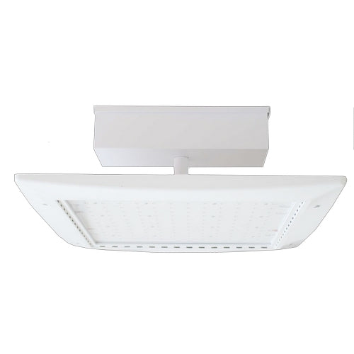 Morris LED Gas Station Canopy Light