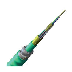 MIC® Tight-Buffered, Interlocking Armored Cable, Plenum, 12 fiber, 50 µm multimode (OM3)