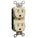 Morris Commercial Grade Tamper Resistant Duplex Receptacle 15A-125V