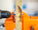 Jonard Tools Combination Drill Bit, Wood & Masonry, 1/4" x 4"