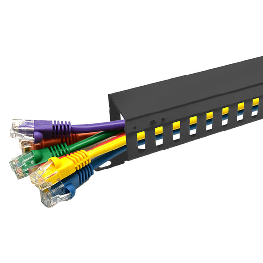 Cable Manager 24-Finger Duct with Cover - 1U