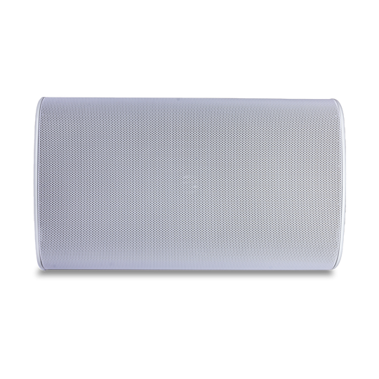 TruAudio 2-Way, Outdoor Speaker, 6.5"