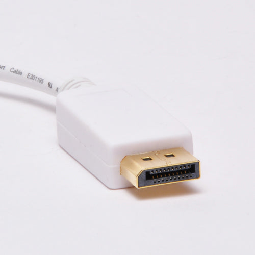 DisplayPort Male to DVI Female Adapter