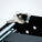Kendall Howard 1 Unit (1U) 2 Post Rack Mount Keyboard Tray