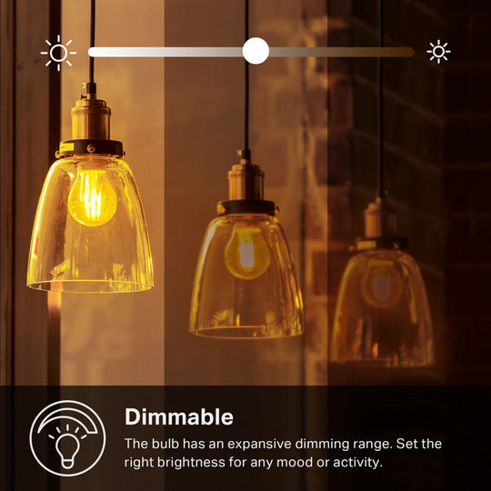 TP-Link KL60 Kasa Filament Smart Bulb, Warm Amber