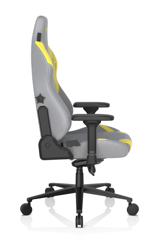 DXRacer Craft Custom Gaming Chair Special Edition Office Chair - Give Me More Space