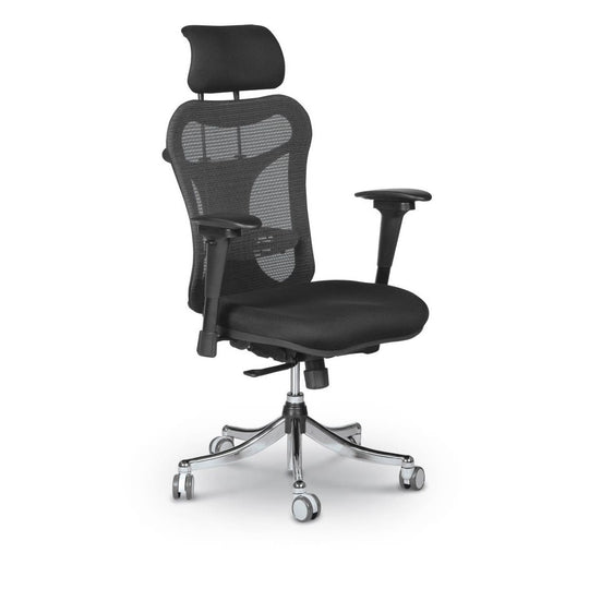 MooreCo ERGO EX Ergonomic Office Chair