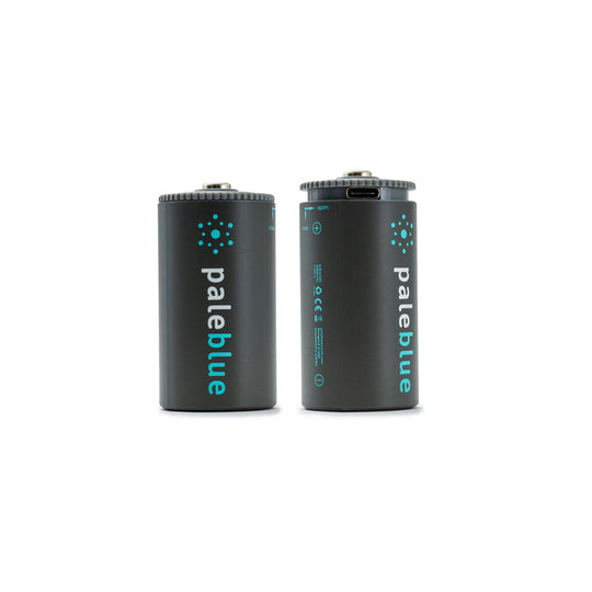 Pale Blue Lithium Ion USB Rechargeable D Batteries - 2 Pack